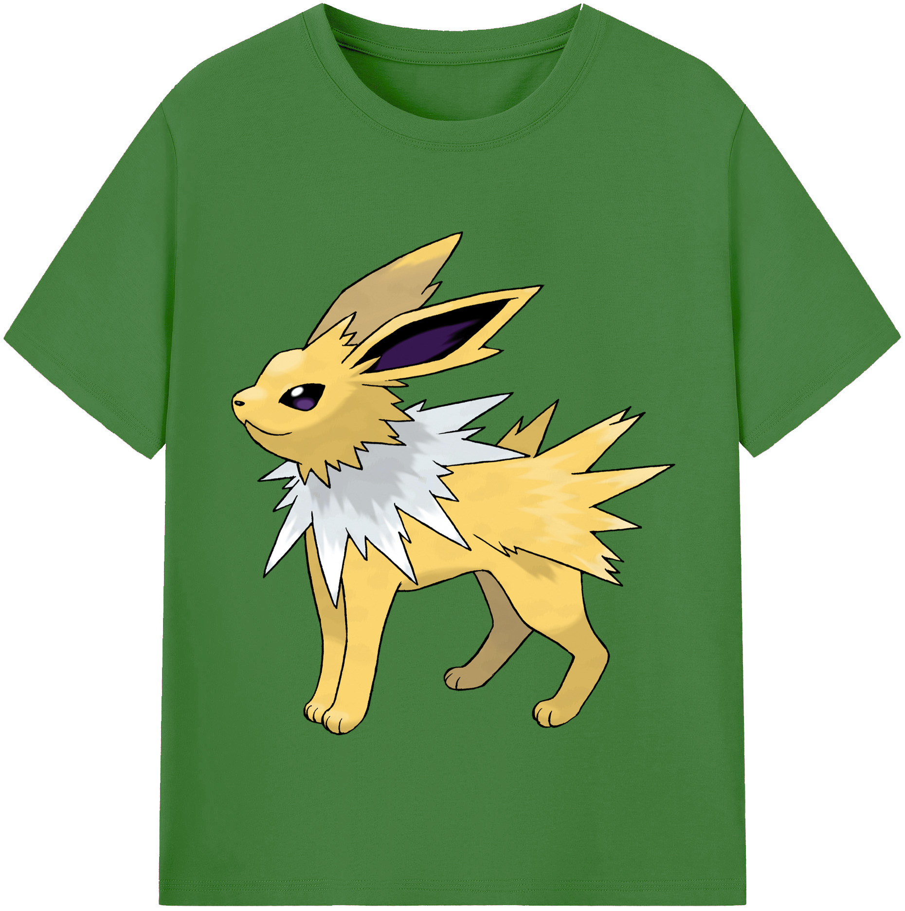 （画像用） ポケットモンスター Pokémon レディースカジュアルプリントTシャツ（綿100％）